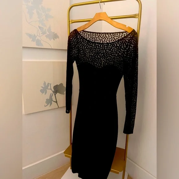 American apparel sheer midi bodycon dress, small - Picture 7 of 13